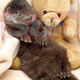 Image for article titled Recovering Otter Cuddles Teddy Bear • Russian Baby Born With Two Penises